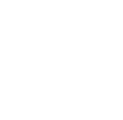 icons5-polishing